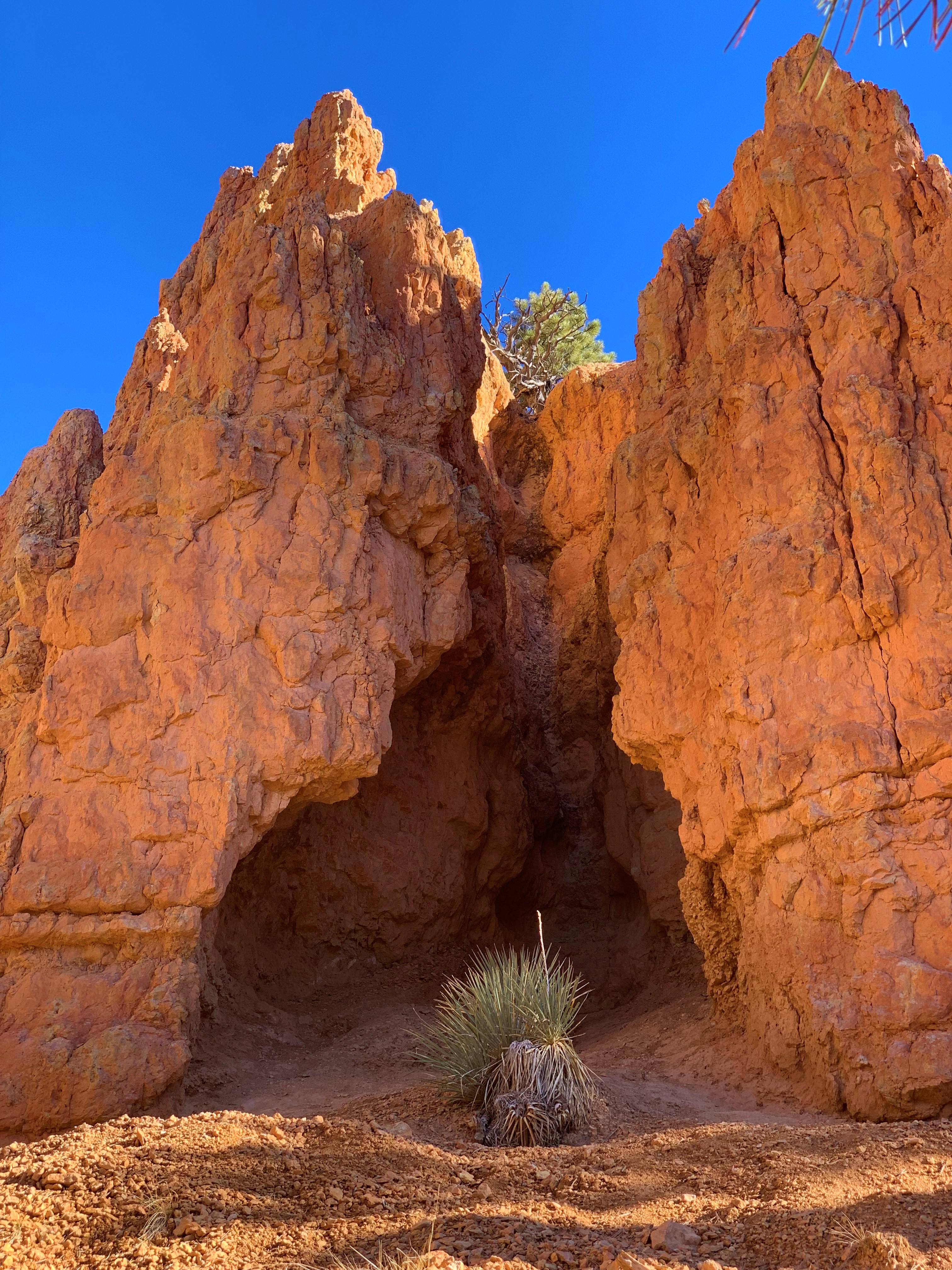 Red Canyon